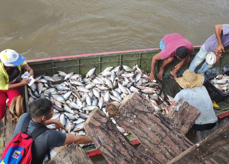 Río Orinoco