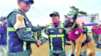 GNB premió a sus perros antidrogas