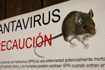 hantavirus