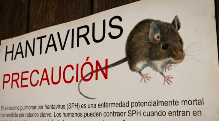 hantavirus