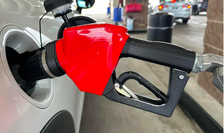 gasolina