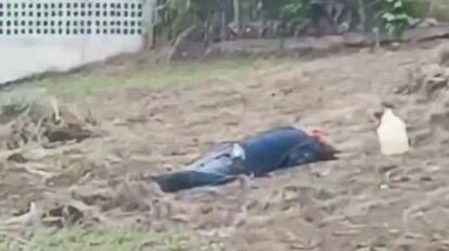 Un hombre quedó atrapado por abejas en El Roble