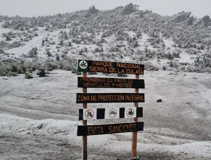 Reportan primera nevada de la temporada en páramo de Mérida
