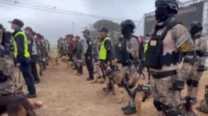 Incorporan a 116 perros entrenados para la detección de drogas