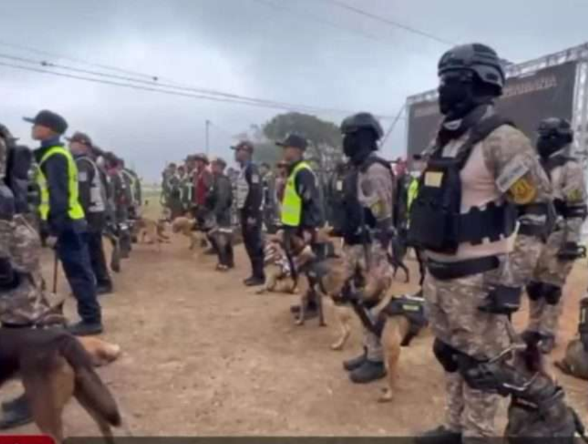 Incorporan a 116 perros entrenados para la detección de drogas