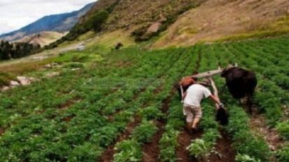 Agricultores de Mérida reportan bajas ganancias