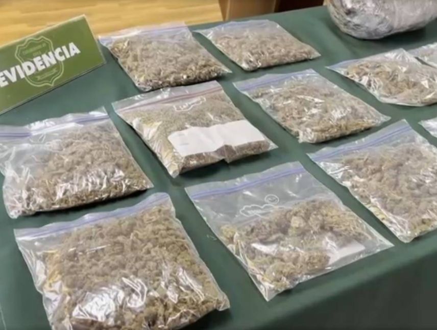 Detienen a venezolano que vendía marihuana en Chile