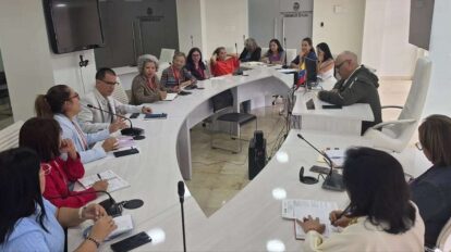 AN y MinSalud evalúan planes de protección materna