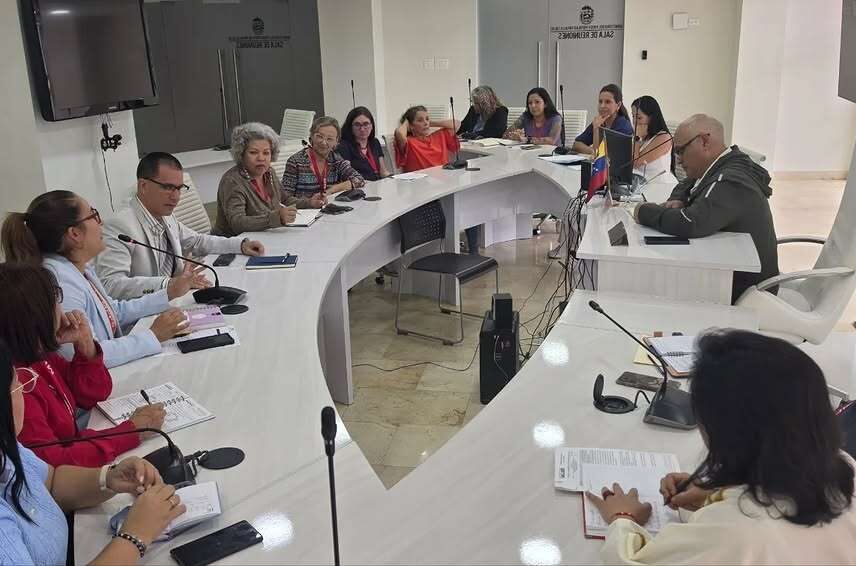 AN y MinSalud evalúan planes de protección materna