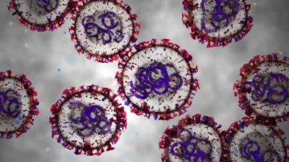 Científicos argentinos prueban spray nasal contra el hantavirus