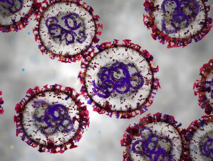 Científicos argentinos prueban spray nasal contra el hantavirus