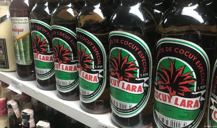 Cocuy venezolano se proyecta como marca país