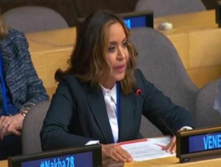 Venezuela en la ONU: La energía desarrolla a los pueblos