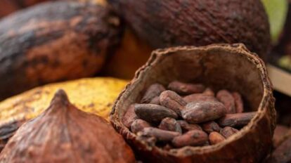 Precio del cacao se recupera y pasa los 4.000 dólares la tonelada