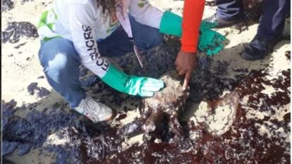 Evalúan impacto por derrame de crudo proveniente de Trinidad y Tobago