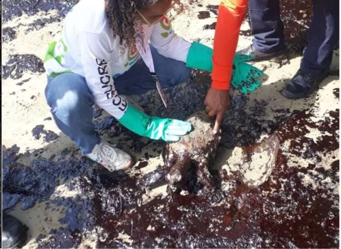 Evalúan impacto por derrame de crudo proveniente de Trinidad y Tobago