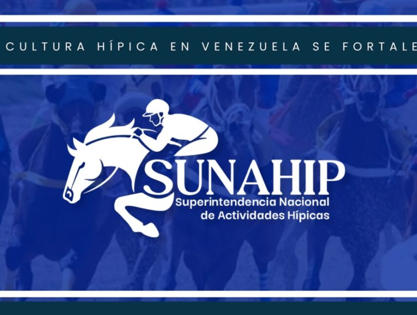Sunahip presentó plan de trabajo para fiscalización en 100 días