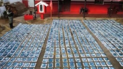 Fanb incautó más de 400 kilos de marihuana en Falcón