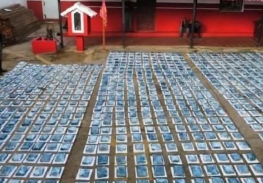 Fanb incautó más de 400 kilos de marihuana en Falcón