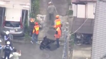 El oso fue capturado luego de 3 días.