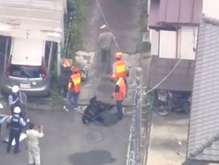 El oso fue capturado luego de 3 días.