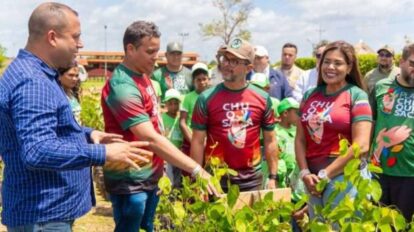 Reactivan motor forestal en Bolívar