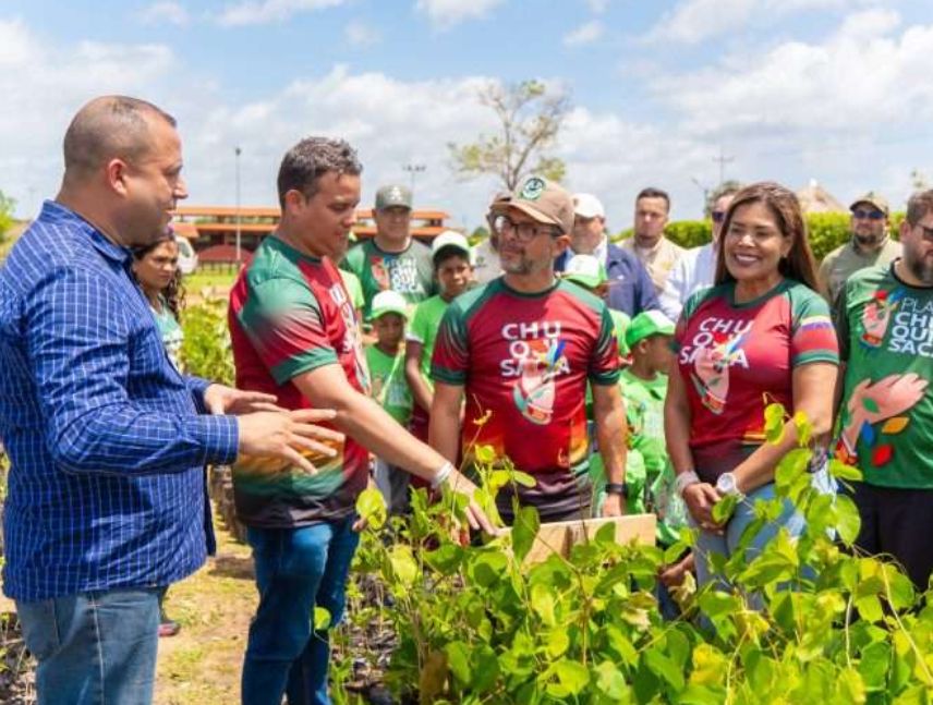 Reactivan motor forestal en Bolívar