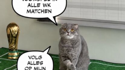 Gato predice resultados del mundial-