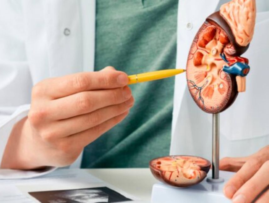 Crecen consultas de urología en hombres.