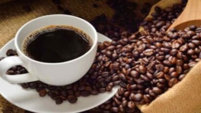 Ley del café busca proteger a los productores del campo