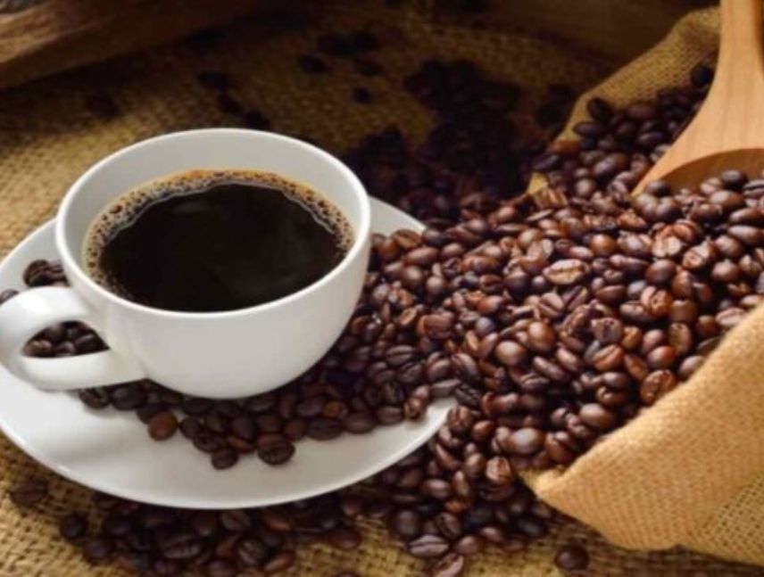 Ley del café busca proteger a los productores del campo