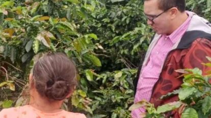 productores de café