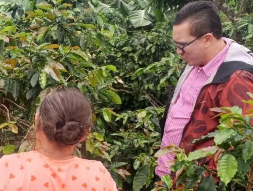 productores de café