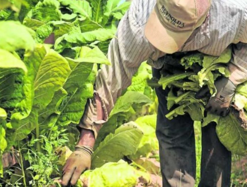 Productores de Trujillo