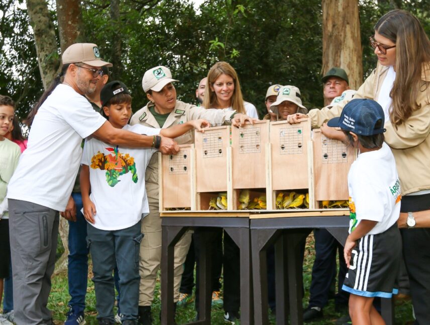 Venezuela libera 400 aves rescatadas del tráfico ilícito