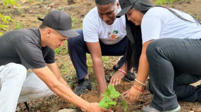 Plantan más de 300 árboles en Caroní