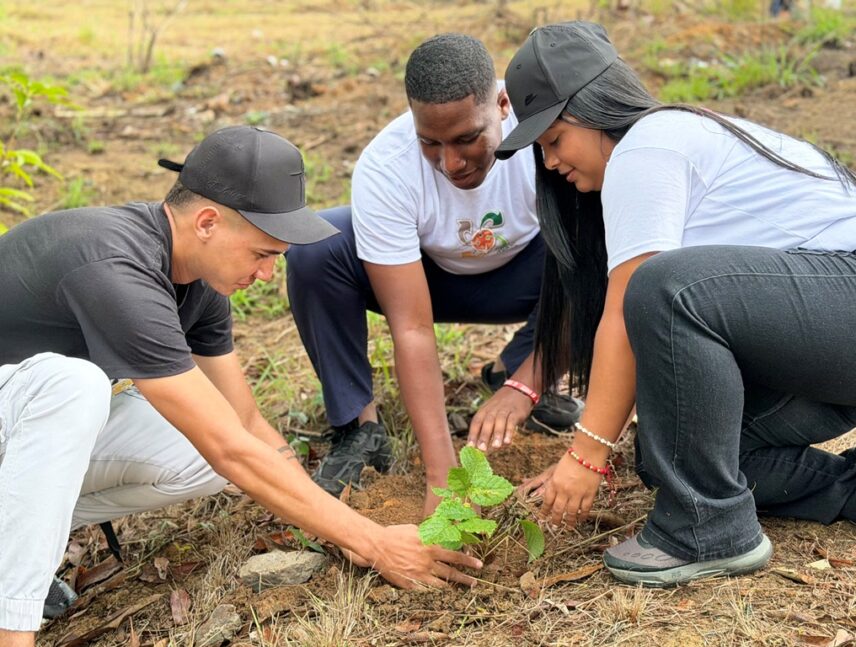 Plantan más de 300 árboles en Caroní