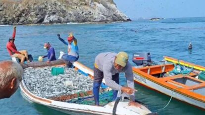 Entregan créditos para potenciar nivel de pesca en Nueva Esparta