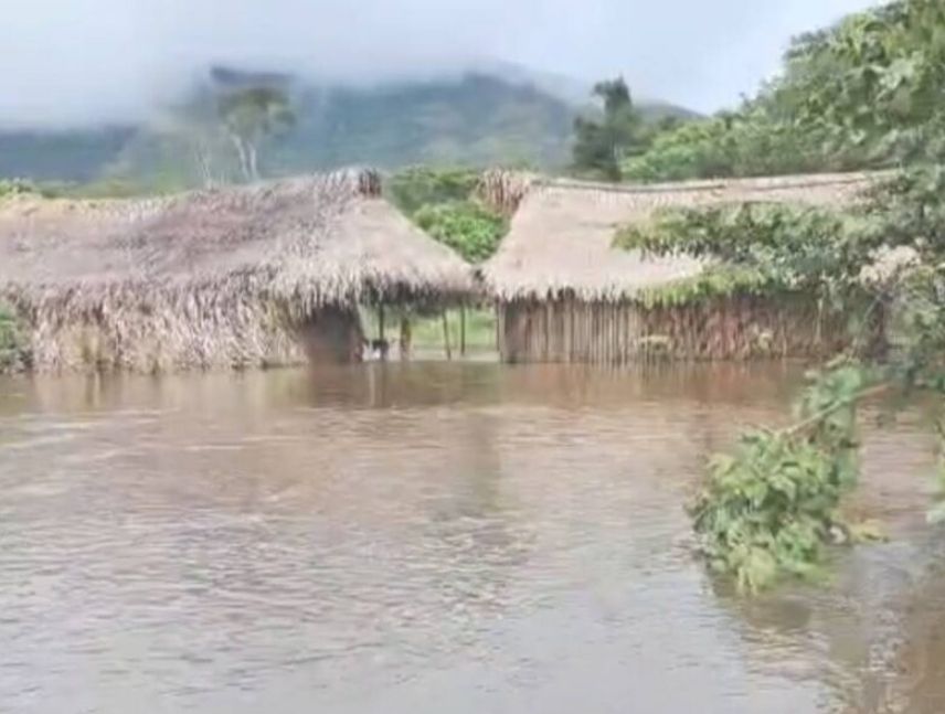 Crecida de río en Amazonas afecta la comunidad Yanomami