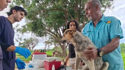 Despliegan jornada de vacunación antirrábica en Ciudad Bolívar