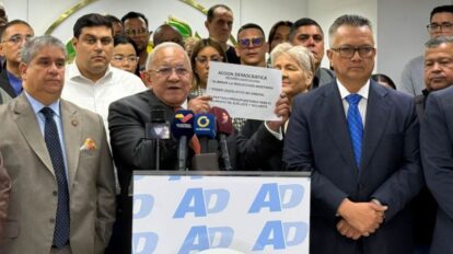 AD presenta su propuesta para la reforma constitucional