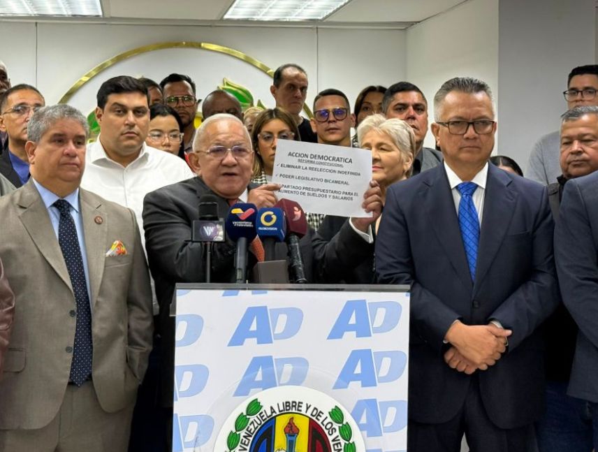 AD presenta su propuesta para la reforma constitucional