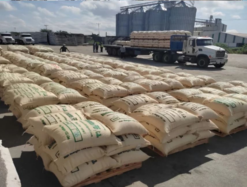 Exportaciones de café en Lara registran un crecimiento