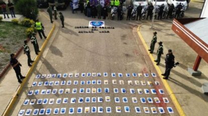 Incautan dos mil 237 envoltorios de marihuana en Lara
