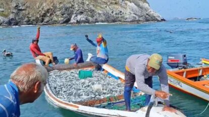 Nueva Esparta envía siete toneladas de pescado para los afectados