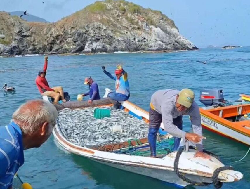 Nueva Esparta envía siete toneladas de pescado para los afectados