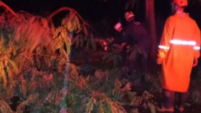 Torrenciales aguaceros causan estragos en Cojedes