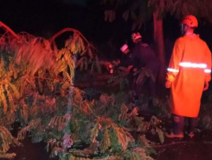Torrenciales aguaceros causan estragos en Cojedes