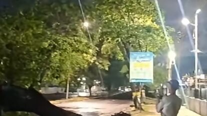 Bomberos del Caroní retiran árbol de la avenida Paseo Caroní