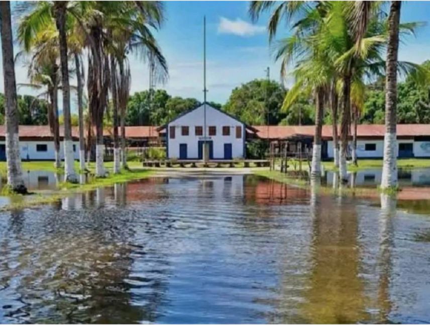 alto orinoco